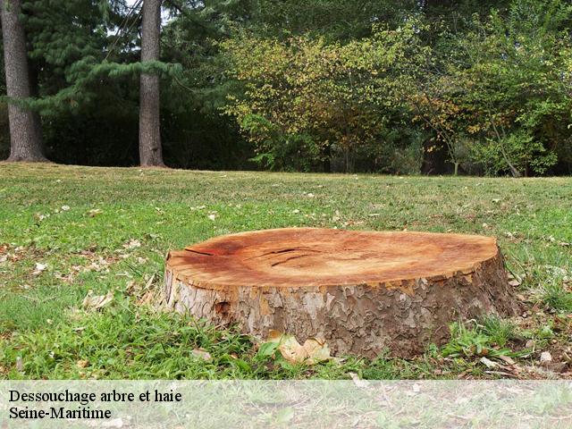 Dessouchage arbre et haie Seine-Maritime 