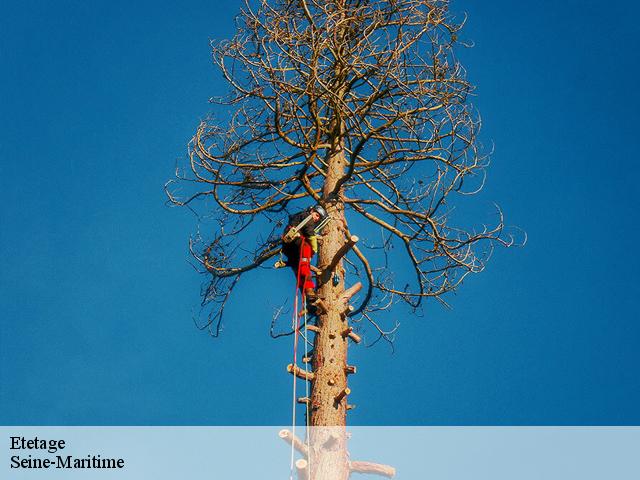 Etetage Seine-Maritime