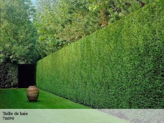 Taille de haie 76690