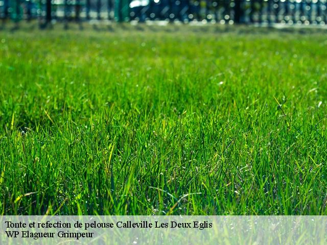 Tonte et refection de pelouse calleville-les-deux-eglis-76890 WP Elagueur Grimpeur