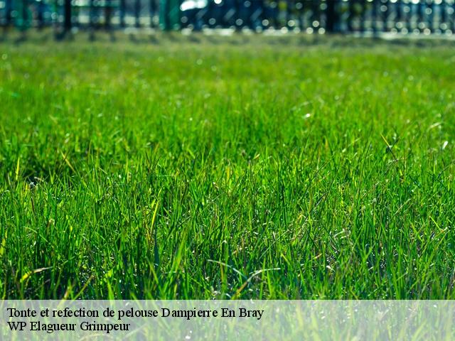 Tonte et refection de pelouse dampierre-en-bray-76220 WP Elagueur Grimpeur
