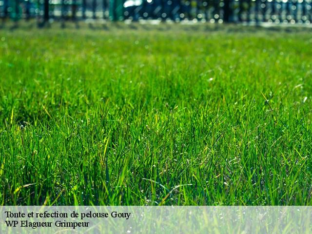 Tonte et refection de pelouse gouy-76520 WP Elagueur Grimpeur