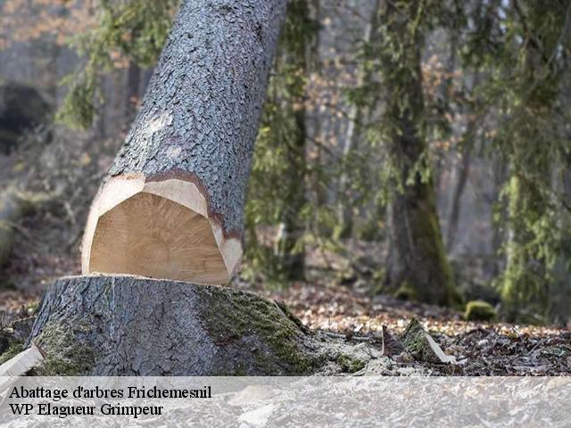 Abattage d'arbres  frichemesnil-76690 WP Elagueur Grimpeur