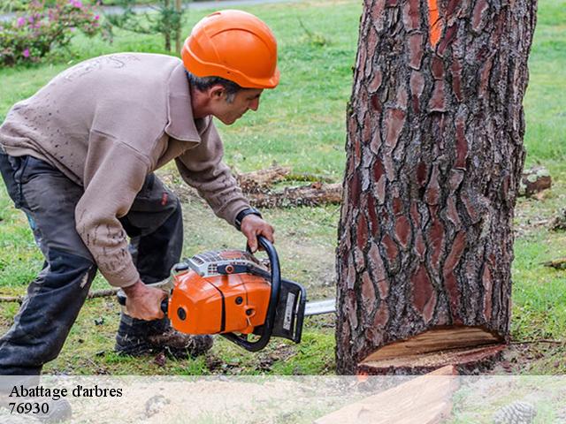 Abattage d'arbres 76930