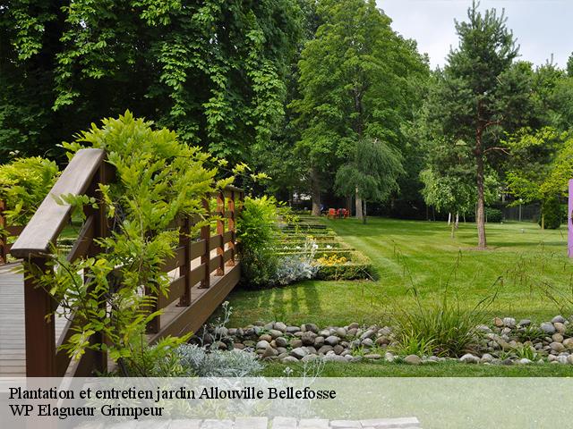 Plantation et entretien jardin  allouville-bellefosse-76190 WP Elagueur Grimpeur