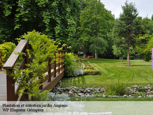 Plantation et entretien jardin  angiens-76740 WP Elagueur Grimpeur