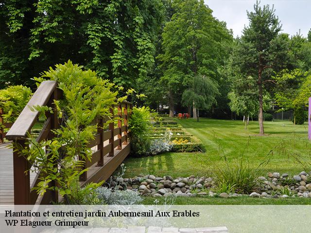 Plantation et entretien jardin  aubermesnil-aux-erables-76340 WP Elagueur Grimpeur