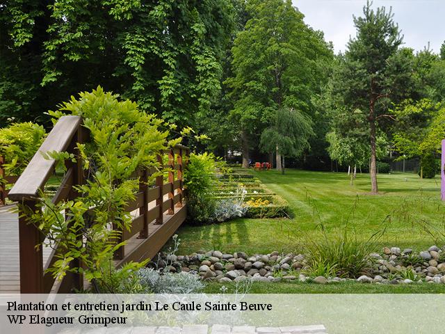 Plantation et entretien jardin le-caule-sainte-beuve-76390 WP Elagueur Grimpeur