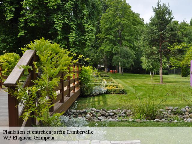 Plantation et entretien jardin  lamberville-76730 WP Elagueur Grimpeur