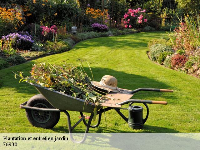 Plantation et entretien jardin 76930