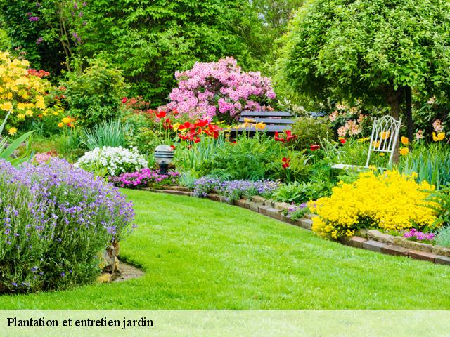 Plantation et entretien jardin