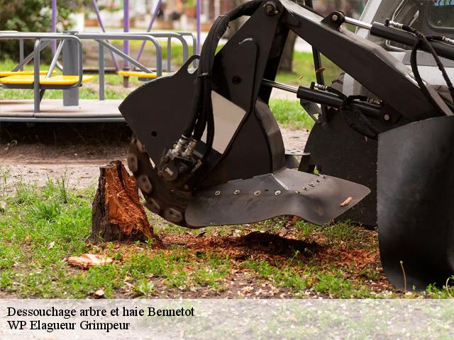 Dessouchage arbre et haie bennetot-76640 WP Elagueur Grimpeur