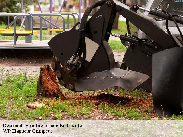 Dessouchage arbre et haie  bertreville-76450 WP Elagueur Grimpeur