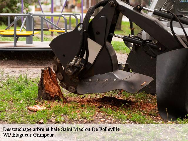 Dessouchage arbre et haie  saint-maclou-de-folleville-76890 WP Elagueur Grimpeur