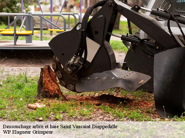 Dessouchage arbre et haie  saint-vaasaint-dieppedalle-76450 WP Elagueur Grimpeur