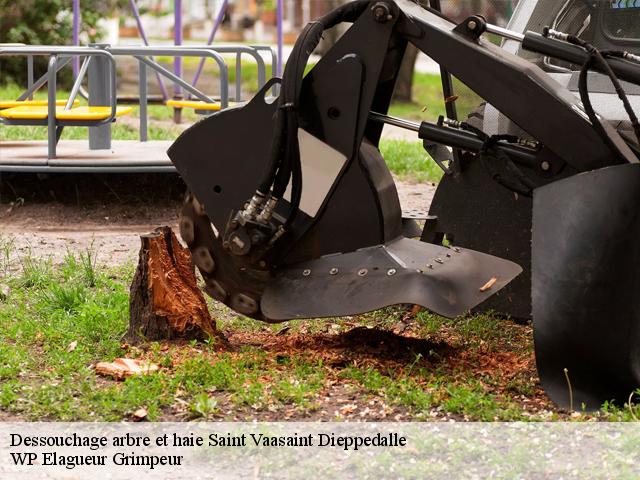 Dessouchage arbre et haie saint-vaasaint-dieppedalle-76450 WP Elagueur Grimpeur